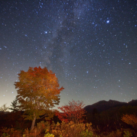 乗鞍岳一の瀬紅葉星景