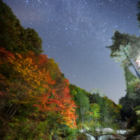 おしどり隠しの滝銀河