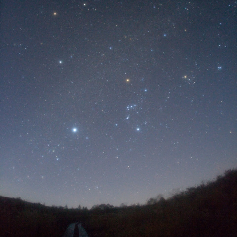 オリオン座流星への道
