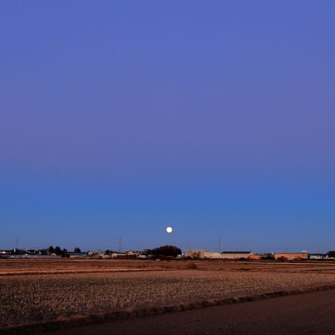 ビーナスベルトに浮かぶコールドムーン