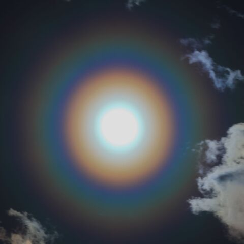 2026-2-28花粉光環