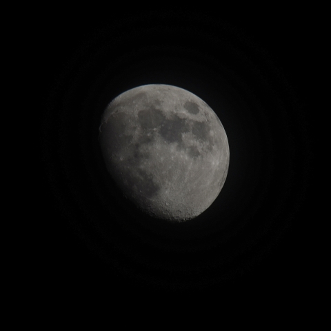 11月24日　晩秋の月