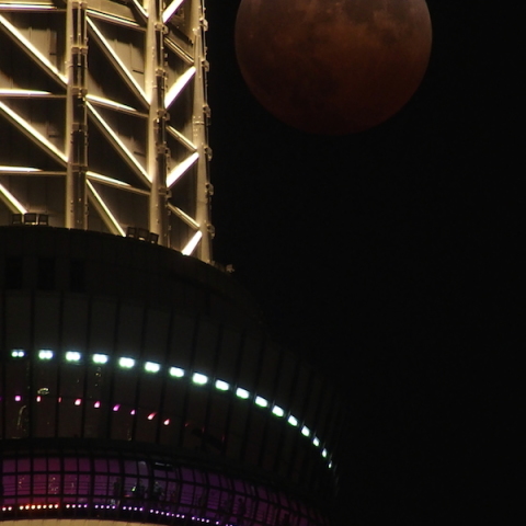 空の塔に欠けゆく月