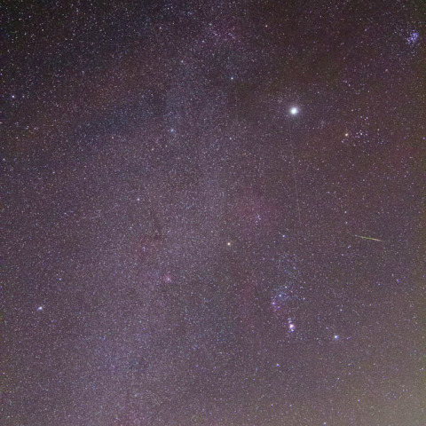 2012年オリオン座流星群