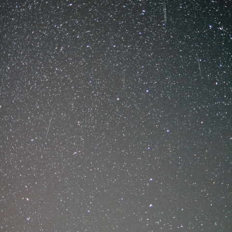 おおぐま座を飛ぶ、ふたご座流星群