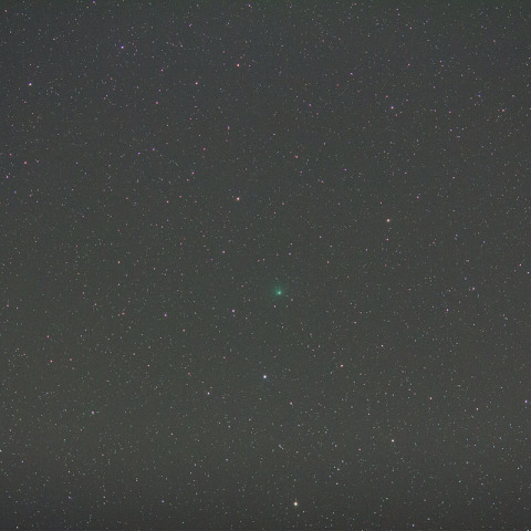 テンペル彗星（10P）