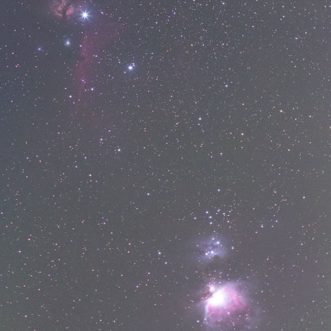 オリオン座腹部