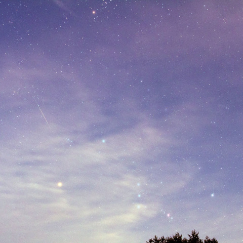 八ヶ岳自然文化園でのペルセウス流星群
