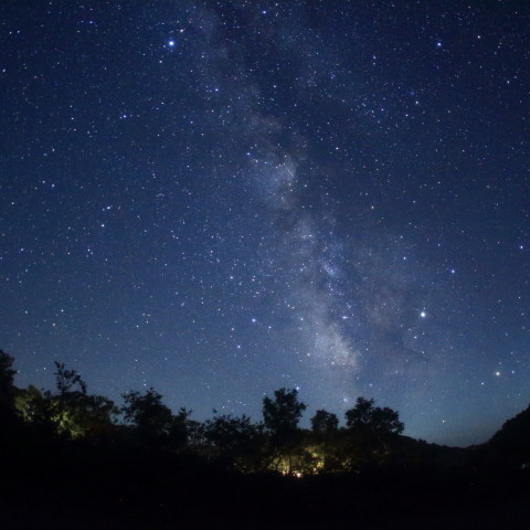 夏の夜を愉しむ