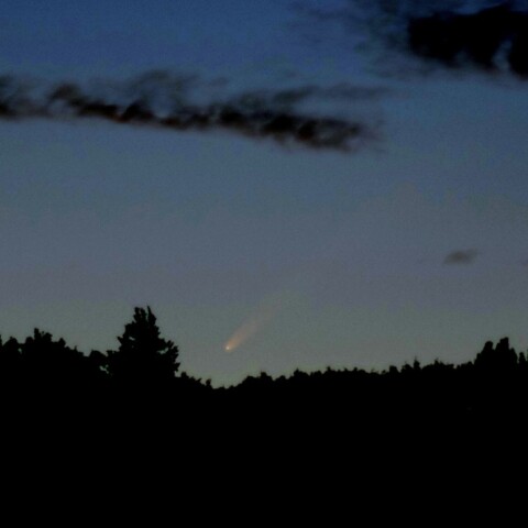 10/1 紫金山・アトラス彗星