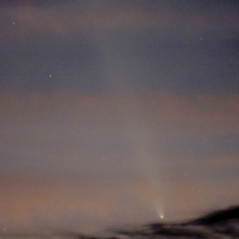 10/14 紫金山・アトラス彗星