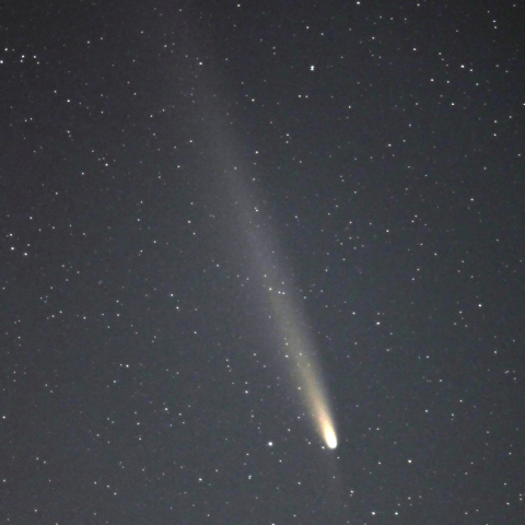 10/20 紫金山・アトラス彗星