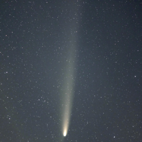10/21 紫金山・アトラス彗星