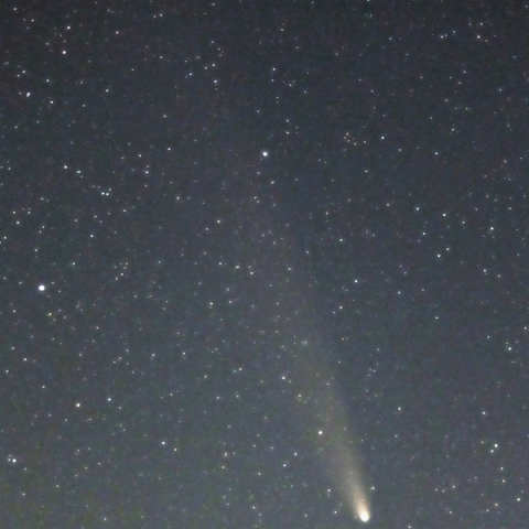 10/30  紫金山・アトラス彗星