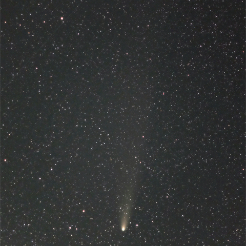 11/03  紫金山・アトラス彗星