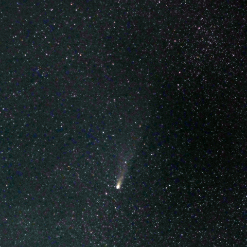 11/09  紫金山・アトラス彗星