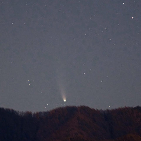 11月7日のレモン彗星