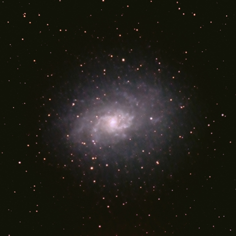 M33