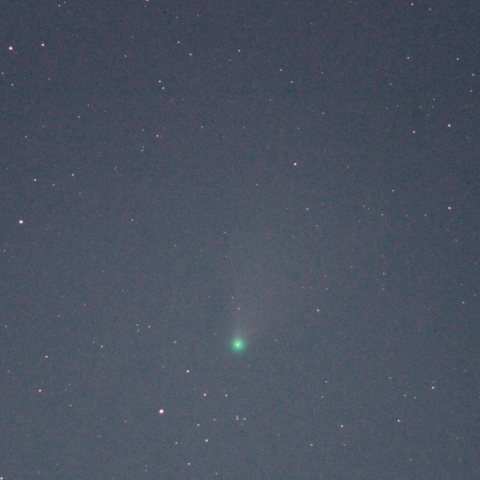 8月3日のネオワイズ彗星