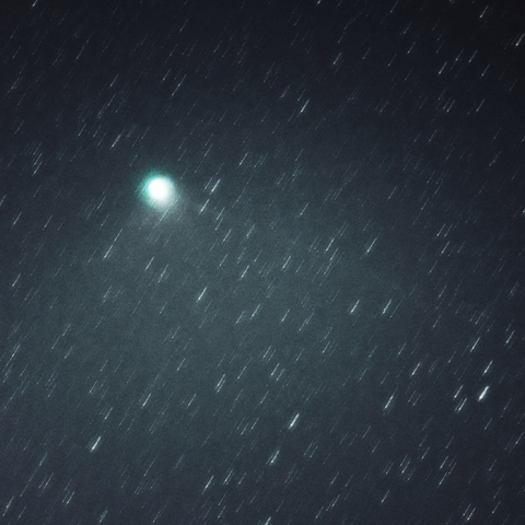 1月31日のZTF彗星