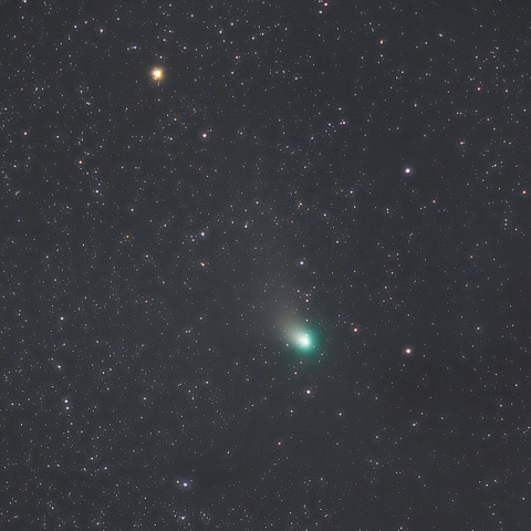 2月9日のZTF彗星