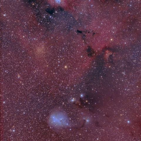 NGC2264