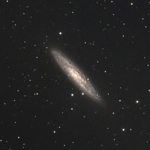 NGC253