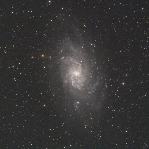 M33