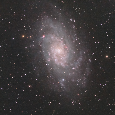 M33