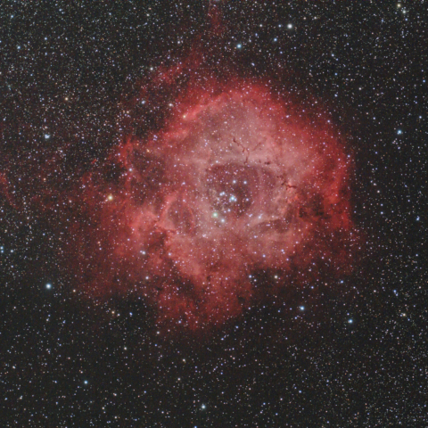 バラ星雲（NGC2237）