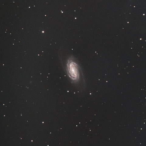 NGC2903