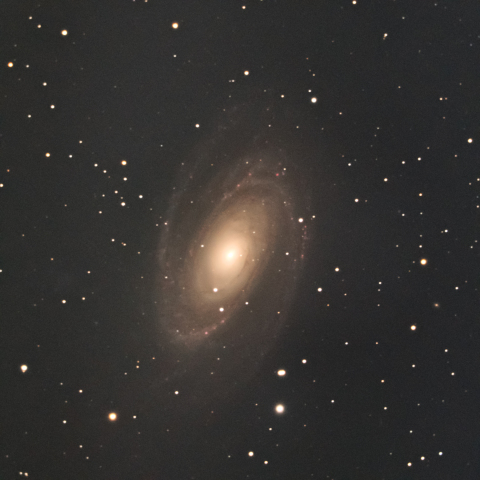M81