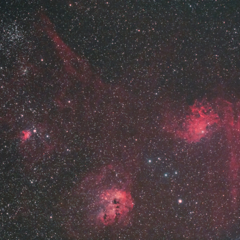 勾玉・髑髏・アリクイ・蜘蛛・M38