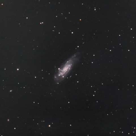 NGC4559（Koi Fish Galaxy）