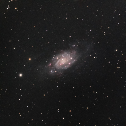 NGC2403（キリン座銀河）