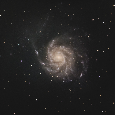 M101(回転花火銀河）