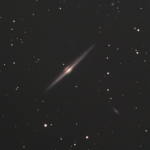 NGC4565