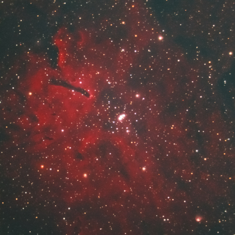 NGC6823 Sh2-86 (こぎつね座散開・散光星雲）
