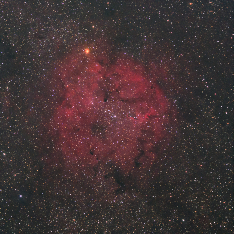 IC1396
