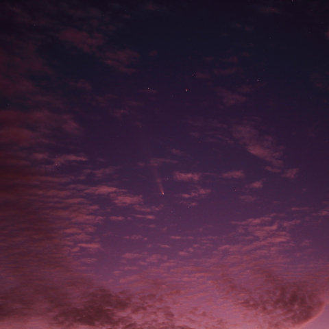 紫金山・アトラス彗星（2014/10/16)