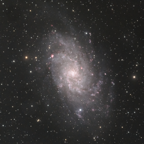 M33