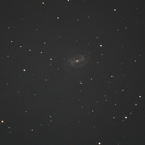 NGC1300