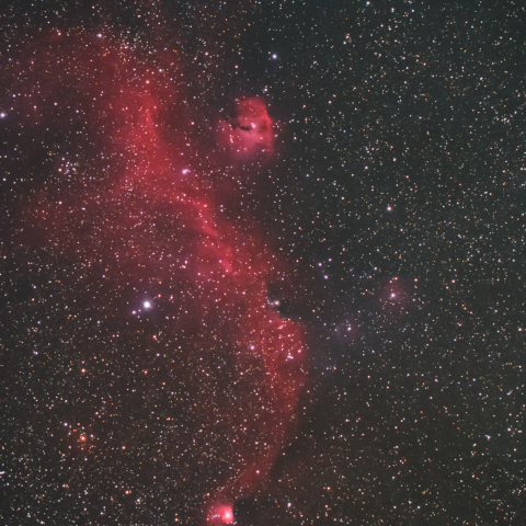カモメ星雲(IC2177、vdB93)