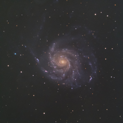 M101（回転花火銀河）
