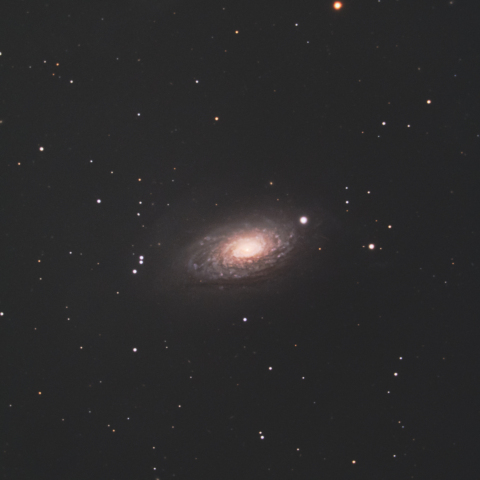 ひまわり銀河(M63)