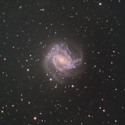 南の回転花火銀河(M83)