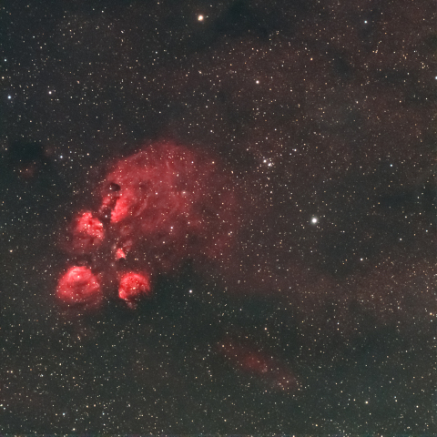 出目金星雲(NGC6334)