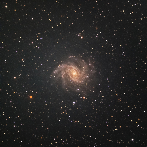 NGC6946 (ヒトデ銀河(自称))