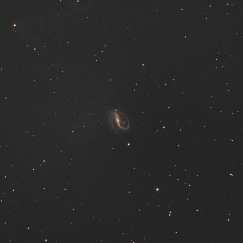 NGC7479 (へび銀河(自称))