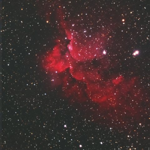 ウィザード星雲 (NGC7380, Sh2-142)